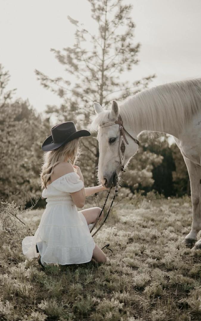 Golden Hour Horse Mini Sessions