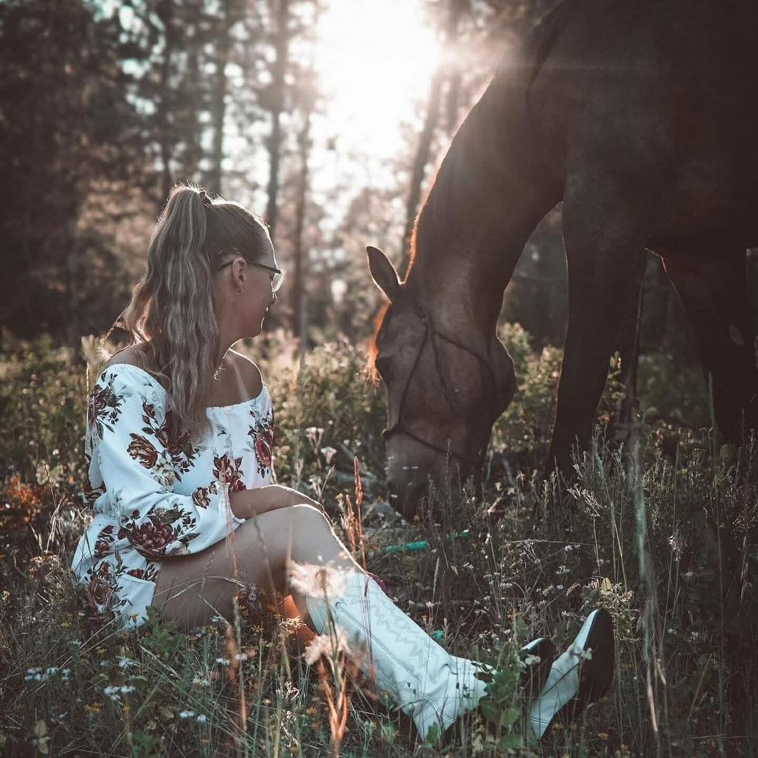Golden Hour Horse Mini Sessions