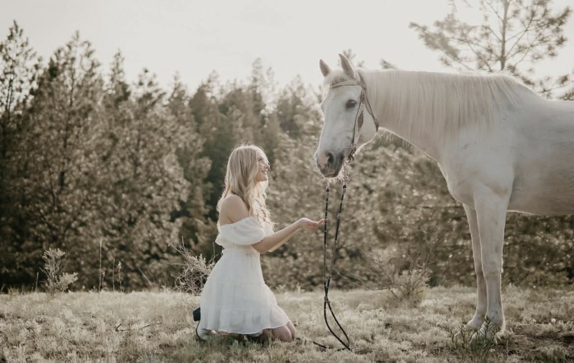 Golden Hour Horse Mini Sessions